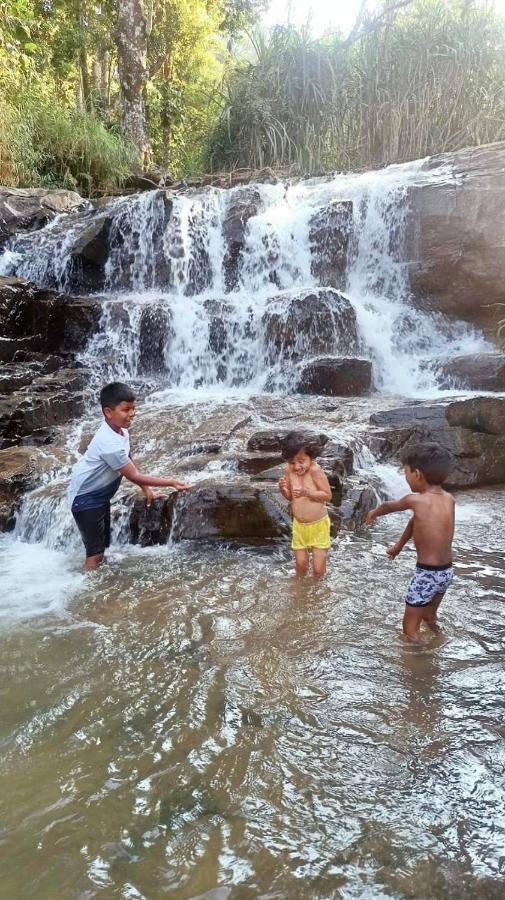 Hiddenvalley Stays - Nethra Madikeri Kültér fotó
